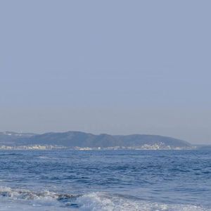 欧美真人夫妻做爱视频片段
