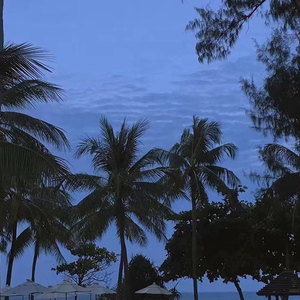 欧美真人夫妻做爱视频片段
